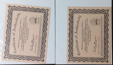 Load image into Gallery viewer, Lady Pendragon / More Than Mortal DF Variants w. COA (1999)