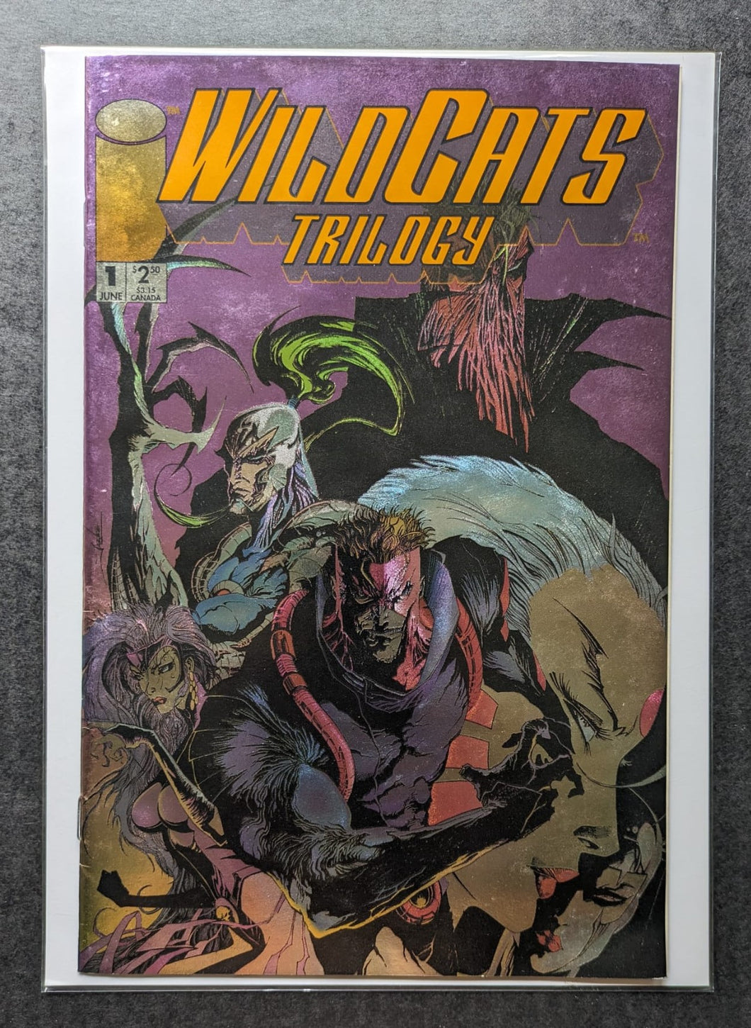 Wildcats Trilogy 1 (1993) Jae Lee