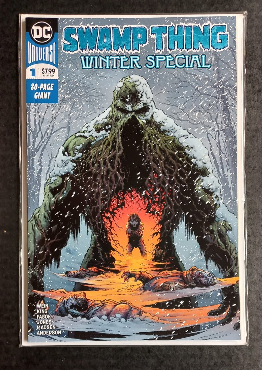 Swamp Thing Winter Special OS (2018) Wein / Wrightson tribute