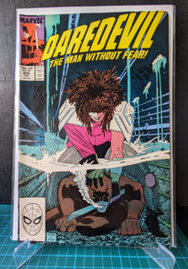 Daredevil 256 (1988) Typhoid Mary (Copy)