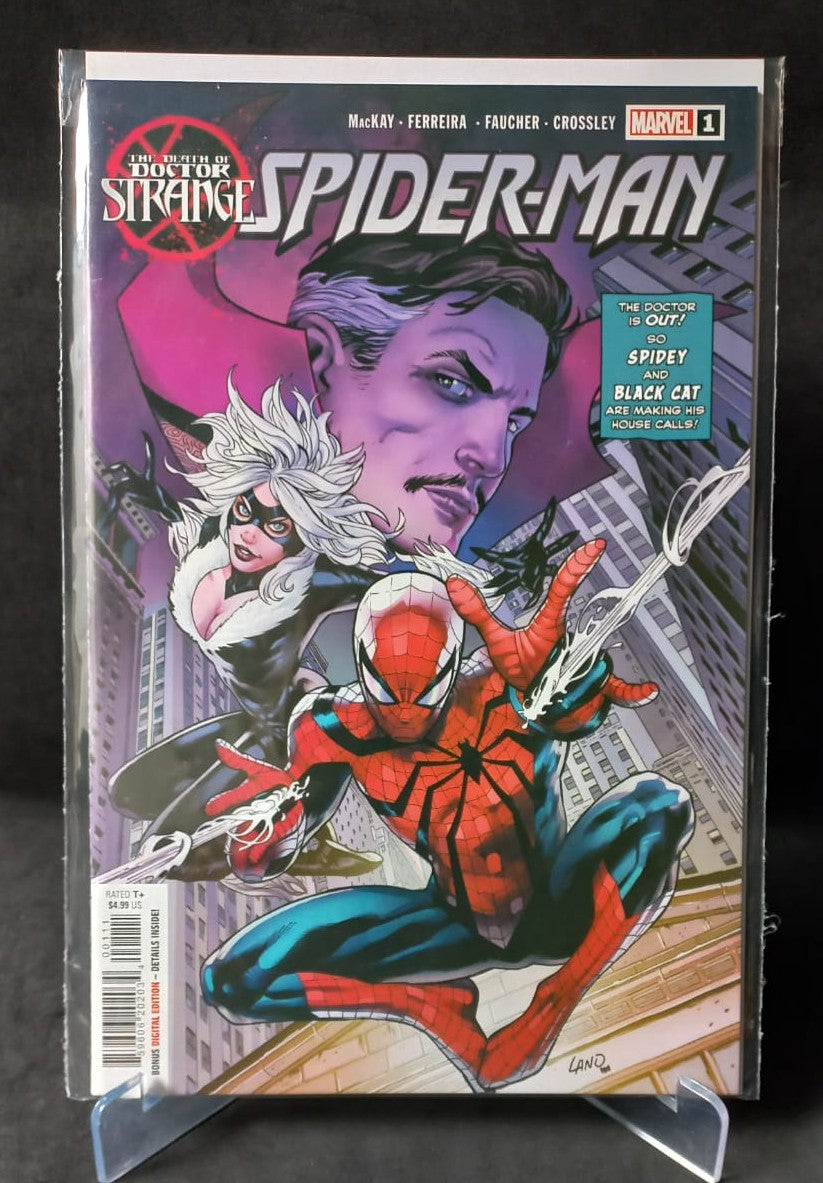 Death of Doctor Strange: Spider-Man OS (2022)